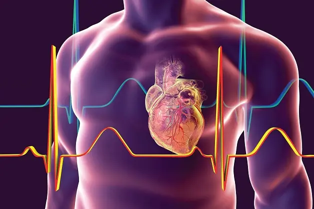 These 4 Everyday Behaviors May Not Be Ideal for People With Heart Disease