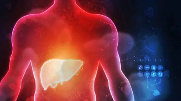 Liver Health Matters: Early Symptoms to Watch For and Habits That May Support Recovery