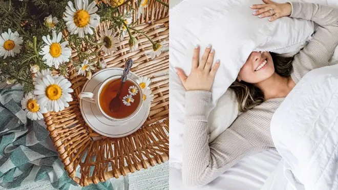 How One Natural Ingredient May Support Both Restful Sleep and Digestive Comfort