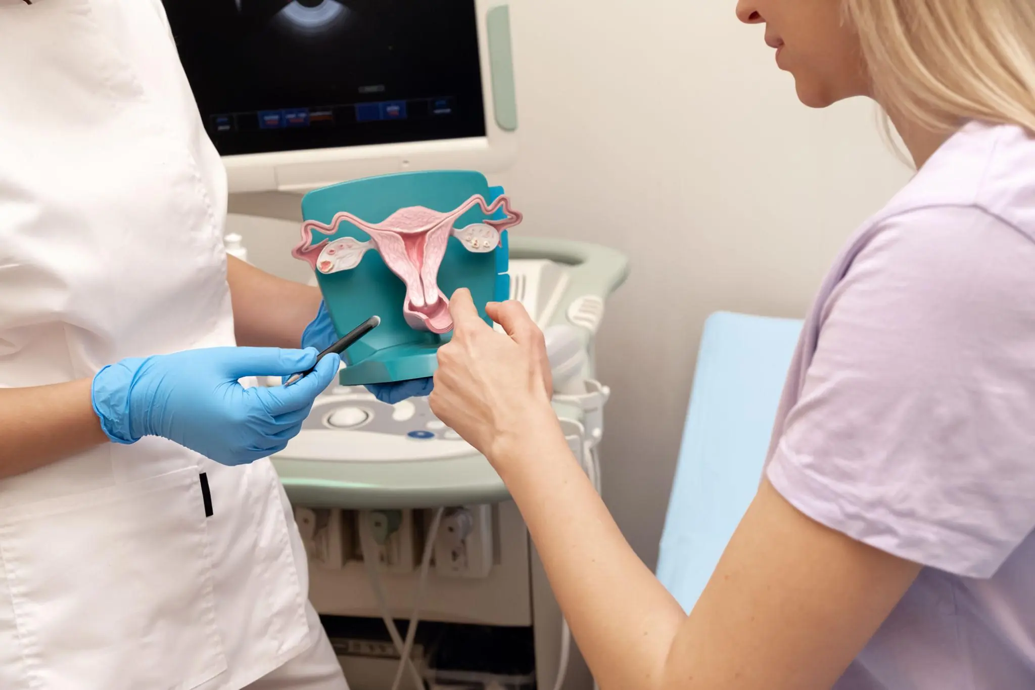 Myths and Truths About Menstruation: What Every Woman Should Know