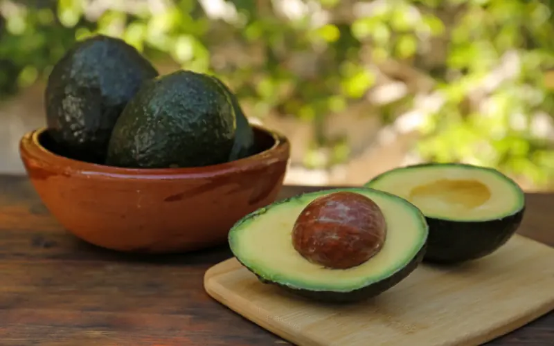The Amazing Avocado: 12 Health Benefits That May Surprise You