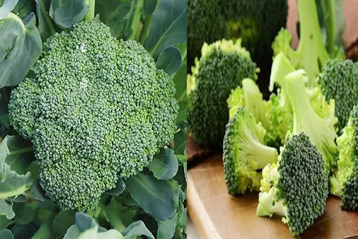 Eating Broccoli Often? Here's What Doctors Want You to Know