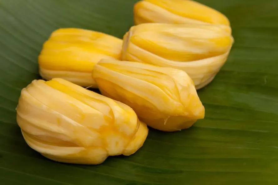 Who Should Be Careful With Jackfruit? 5 Groups That May Need to Monitor Their Intake