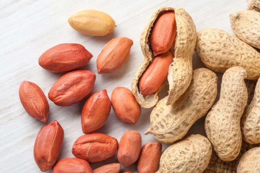 Doctor reveal that... eating peanuts causes