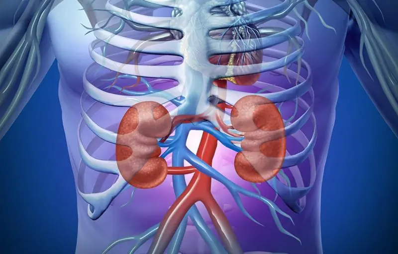 Your Body Speaks at Night: 5 Warning Signs of Kid.ney Problems You Should Never Ignore