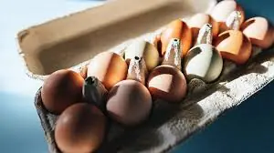 What Happens When You Eat 3 Eggs Every Day? New Research Has an Unexpected Answer.