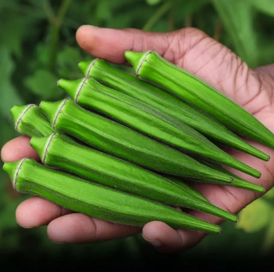 Doctors Reveal What Happens When You Eat Okra Regularly: Benefits, Risks, and What You Should K