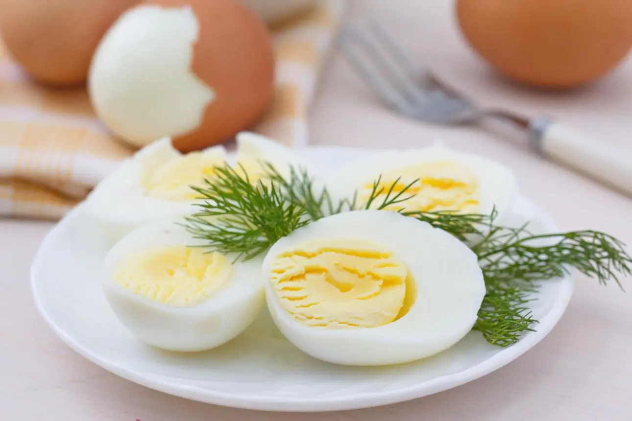 Can Eating Eggs Every Day Help You Live Longer? What Experts Say