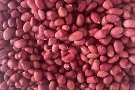 Before You Eat Peanuts Every Day, Read What Doctors Have to Say