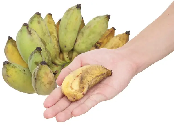 Over 60? A Daily Banana Could Offer These Surprising Health Benefits