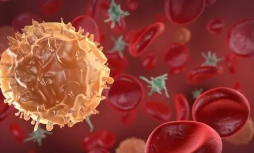 Add These 8 Cancer-Fighting Foods to Your Diet Now