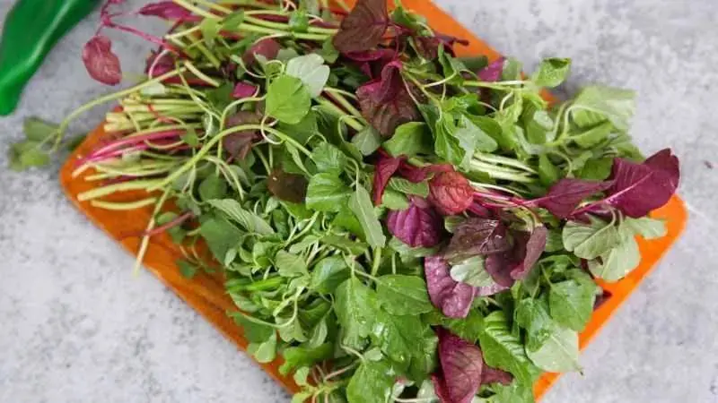 There’s a Vegetable Richer in Iron Than Beef—And It May Be a Hidden Superfood