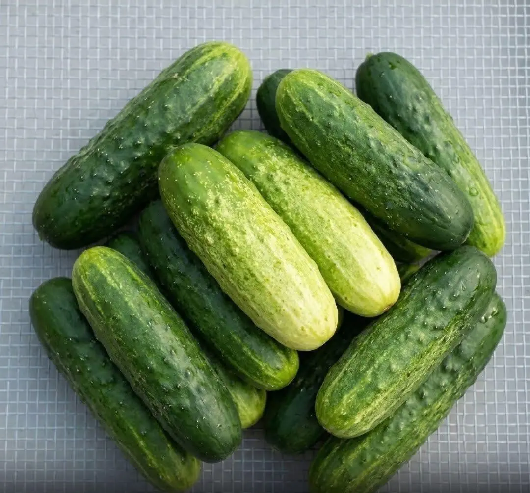 Doctors reveal that eating cucumber in salads causes... See more