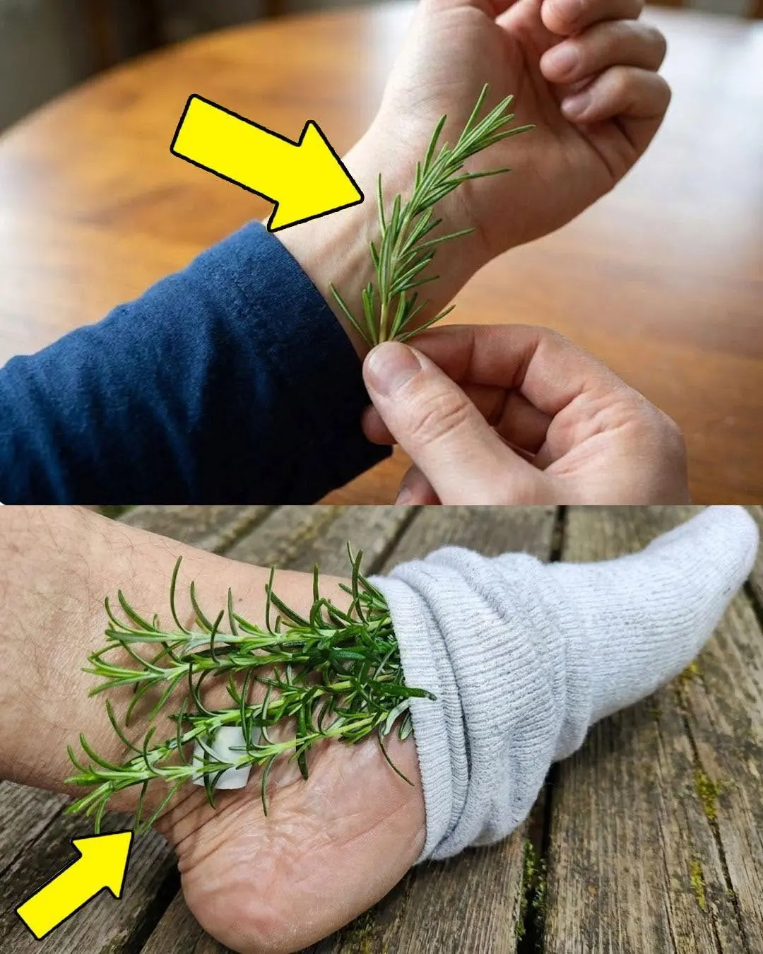 A planta que você vê na foto é uma das plantas mais milagrosas do mundo...