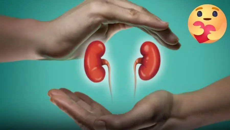 8 Symptoms of Kidney Failure You Must Not Ignore — or Face a Lifetime on Dialysis
