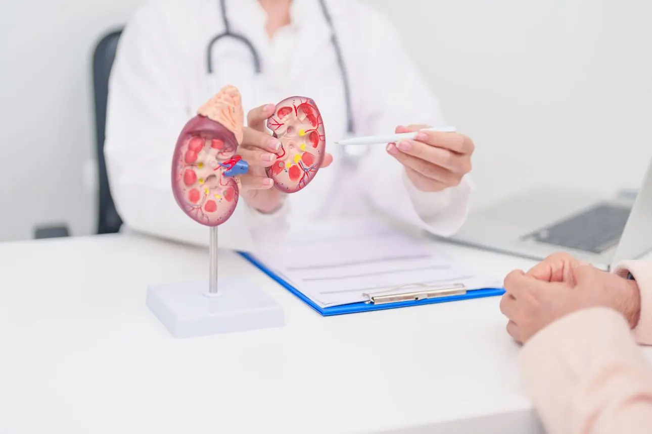 Woman Lost Both Kidneys Before Turning 30: Doctors Warn About Everyday Habits That May Harm Kidney Health