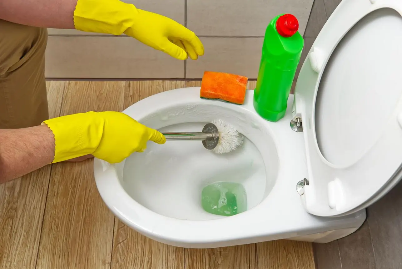 Pour Salt Into the Toilet Before Bed? Here's What Really Happens