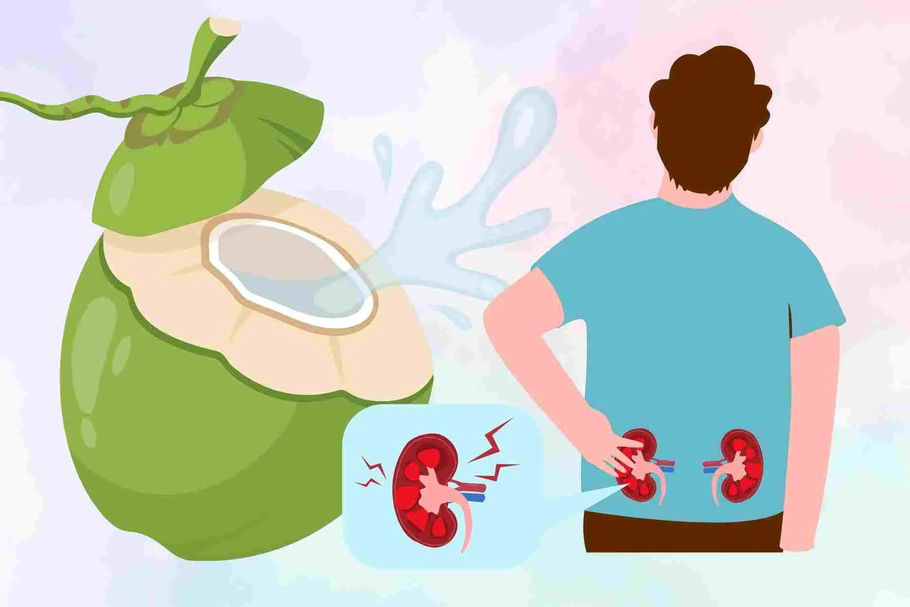 Your Kidneys and Coconut Water: What Happens When You Drink It Regularly?