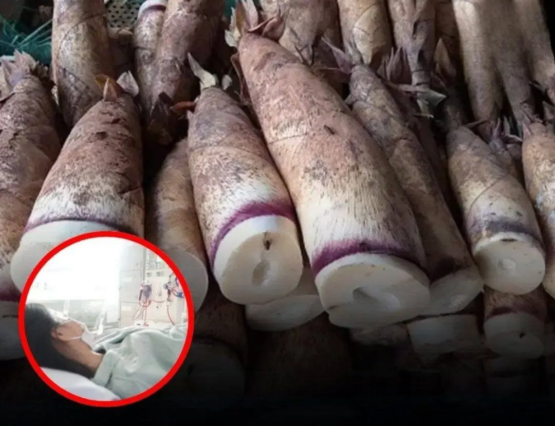Woman Hospitalized With Kid.ney Failure — Doctors Say This Vegetable May Be the Cause