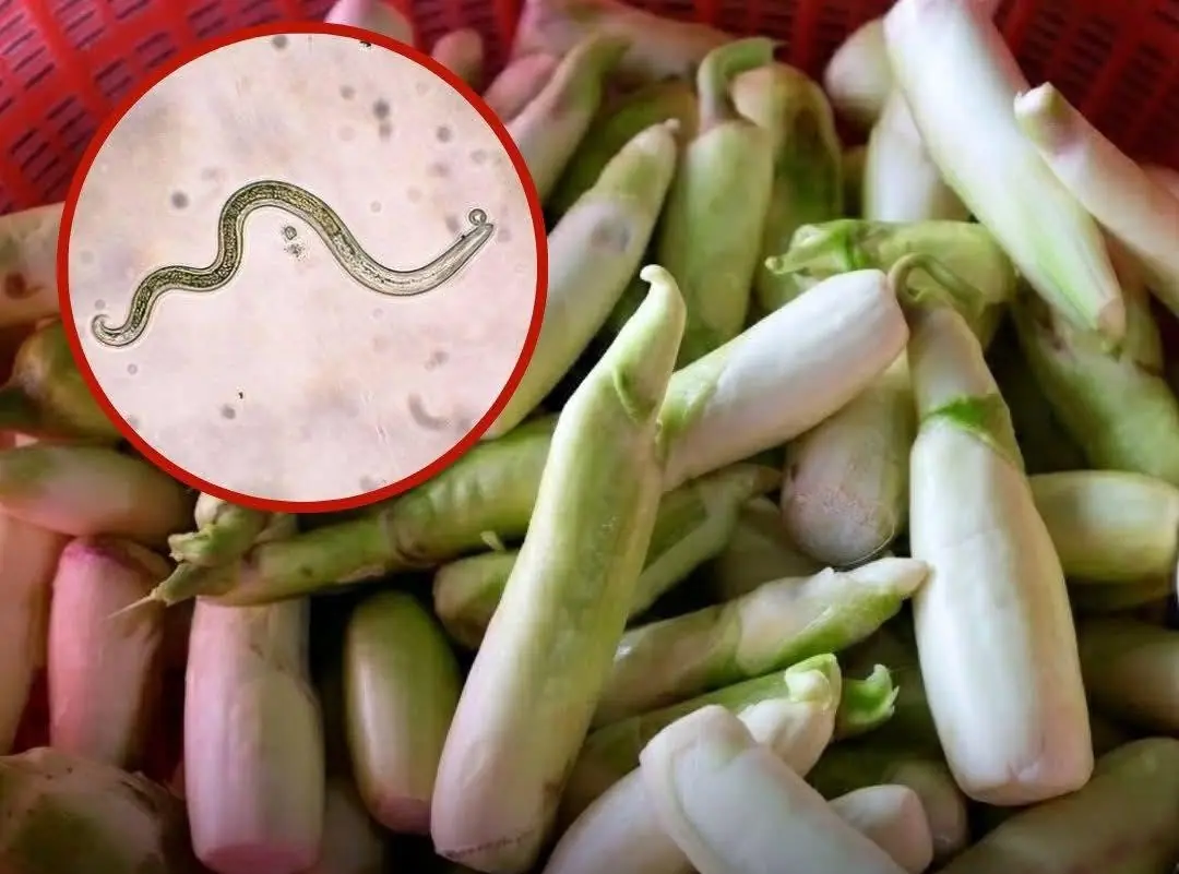 The No.1 Vegetable Most Contaminated With Parasites? The Truth About Raw Water