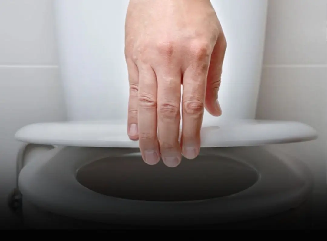 The toilet lid — should it be closed or left open?