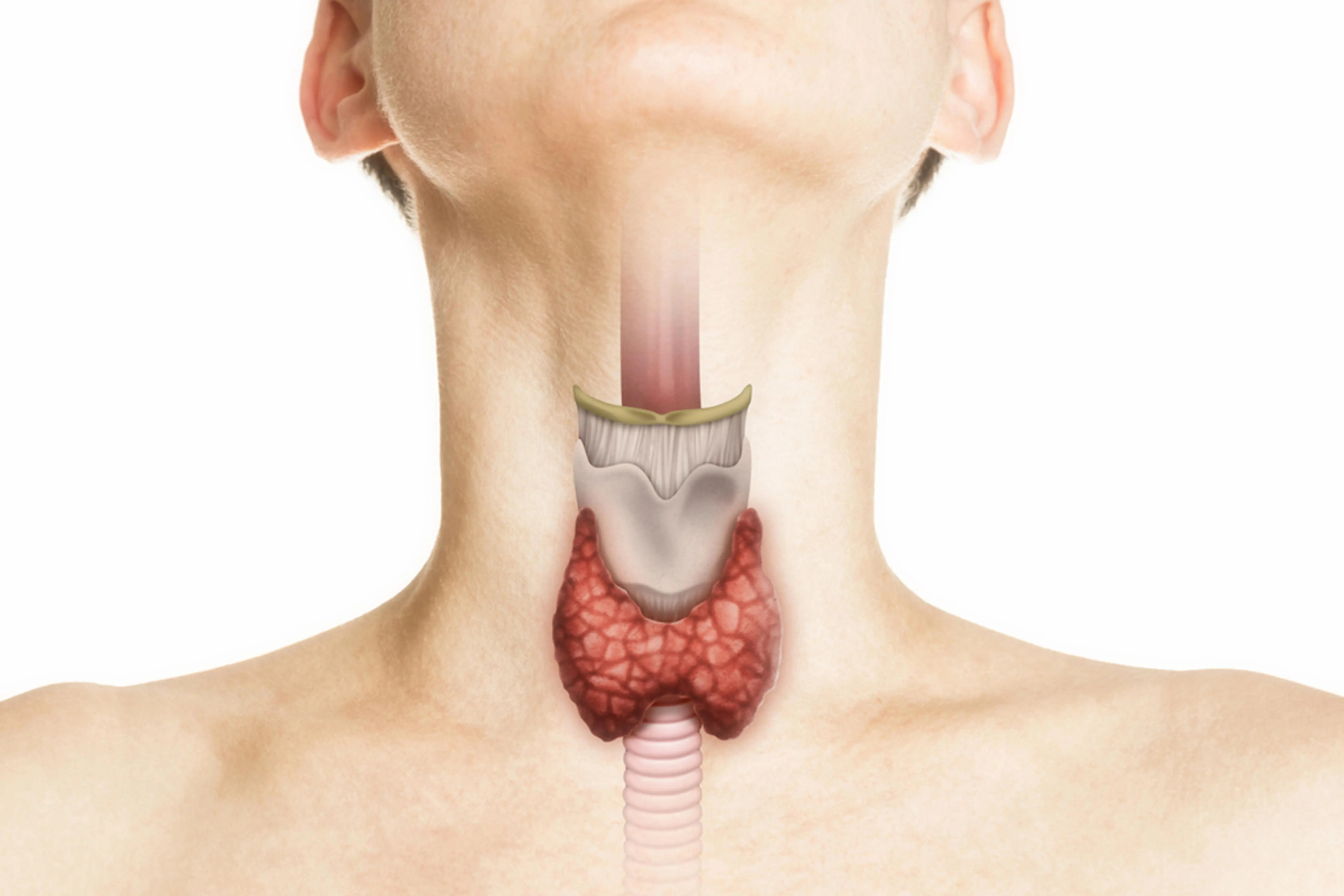 Avoid These 6 Foods That May Affect Thyroid Health, According to Experts