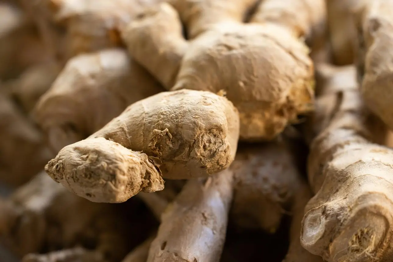 Longevity Secret Revealed? A 114-Year-Old Man Says He Eats This Every Day