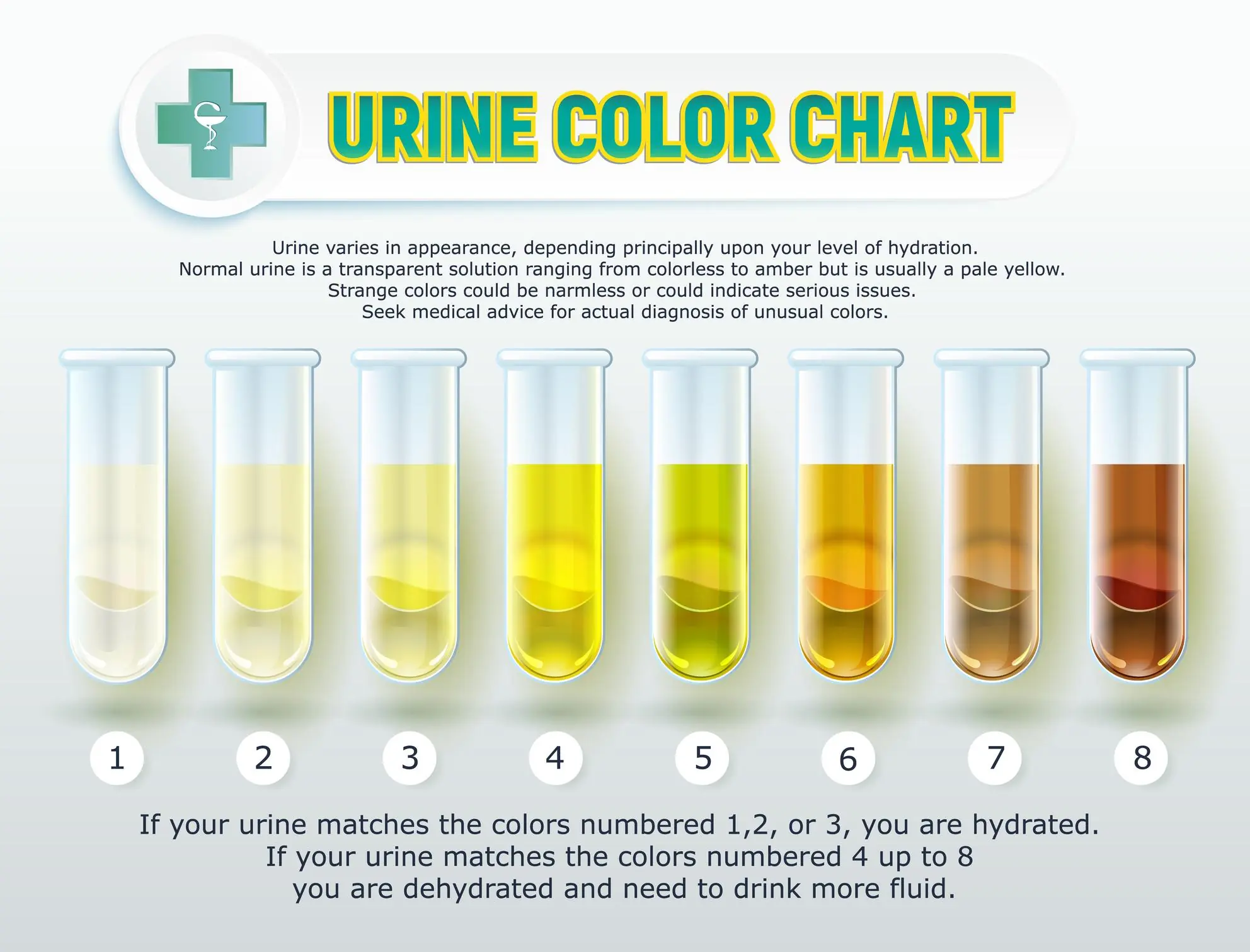 Do Not Ignore These Urine Colors: What Your Body May Be Trying to Tell You