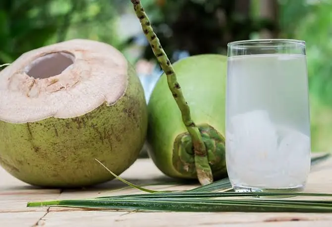 The Hidden Side of Coconut Water: 12 Facts Most People Never Learn
