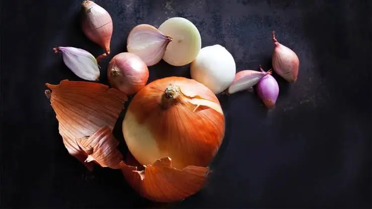 What Doctors Say About Eating Onions Regularly Might Change How You See This Common Food