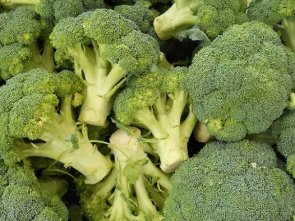 Just a Few Servings of Broccoli a Week Could Have a Bigger Impact Than You Think