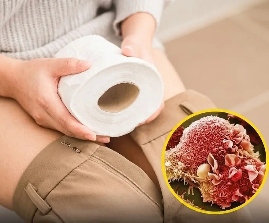 Doctors Warn That Some Toilet Papers May Contain Concerning Chemicals: What Consumers Should Know