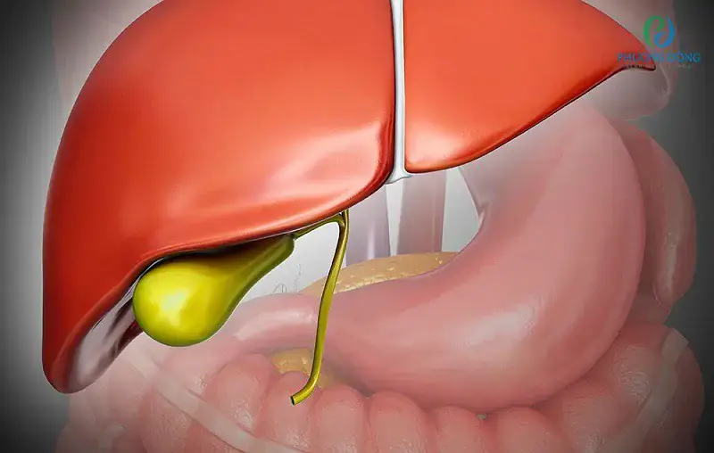 Most People Don't Know What Happens After Gallbladder Removal