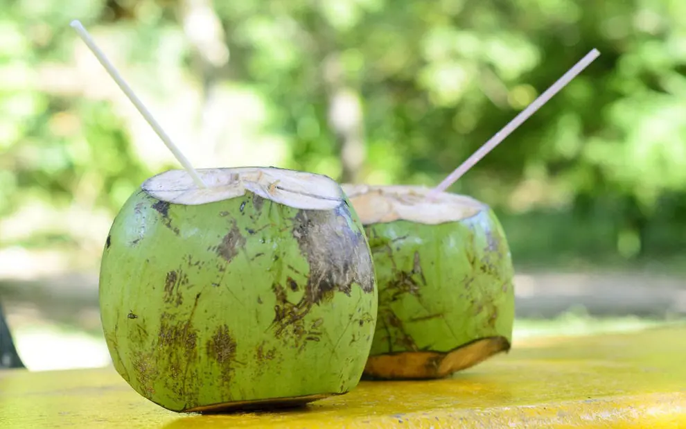 Drink Coconut Water Every Day for a Week – Your Body May Thank You