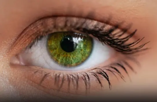 Why people with green eyes are so fascinating?
