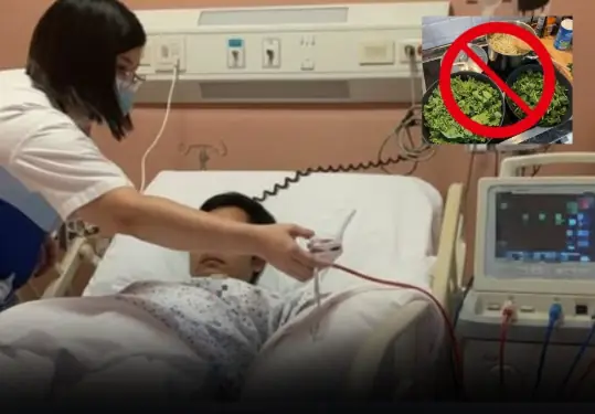 Overconsumption of Three Common Vegetables Linked to Man’s Sudden De.ath from Acute Kidney Failure
