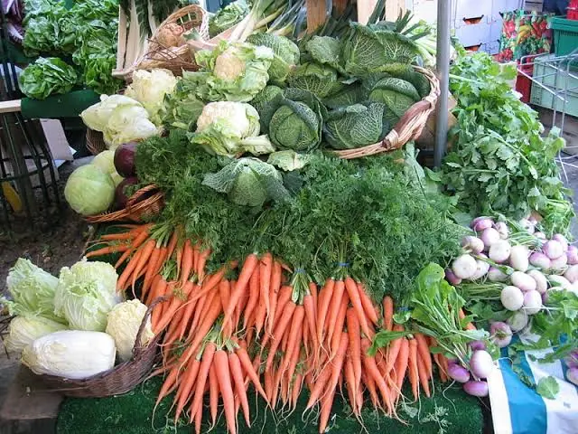 Many People Eat This Vegetable Raw Every Day Without Realizing the Risk