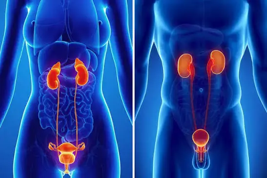 Doctors Explain Why Not Urinating at Night May Say Something About Your Health