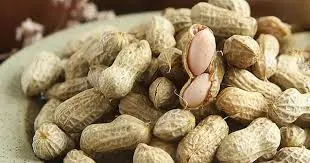 Peanuts and Your Health: What Experts Want You to Know—See More