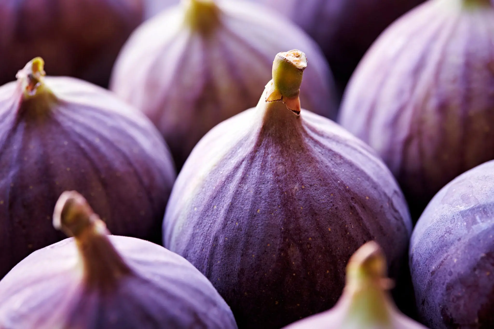 Doctors reveal that eating figs causes...