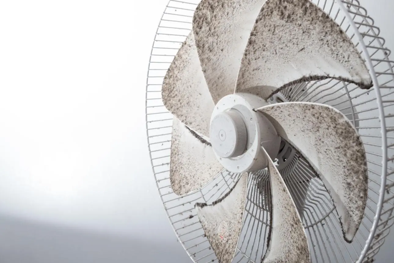 A Simple Trick to Clean Electric Fan Blades Without Removing the Grill