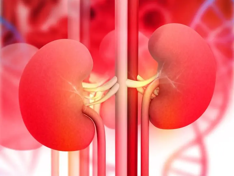 Early Detection Matters: 7 Signs That May Signal Kidney Health Concerns