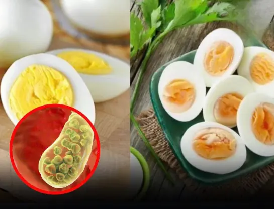 Eating Chicken Eggs Can Be Harmful for These 5 Groups of People — Here’s Why
