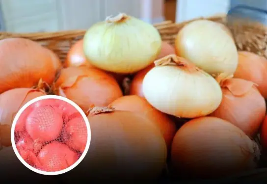 Here’s Why They Don’t Belong in the Fridge