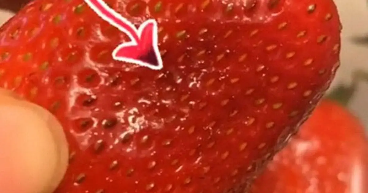 After soaking my berries in salt water, I noticed tiny white wriggling things… should I discard them?