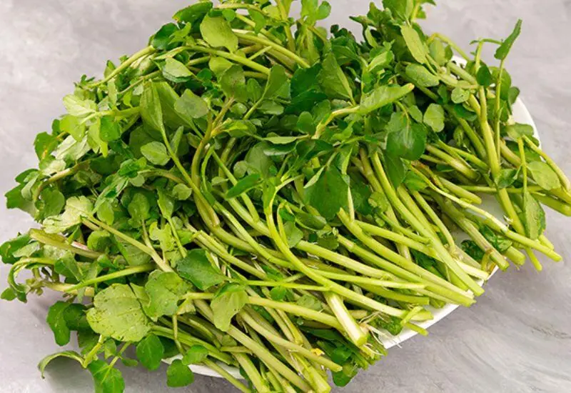 Raw Isn't Always Healthier - These 4 Vegetables May Be Better After Cooking