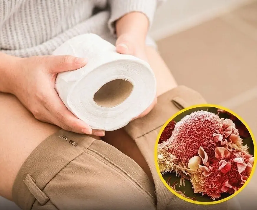 Could Your Toilet Paper Affect Your Health? The Truth About Harmful Chemicals