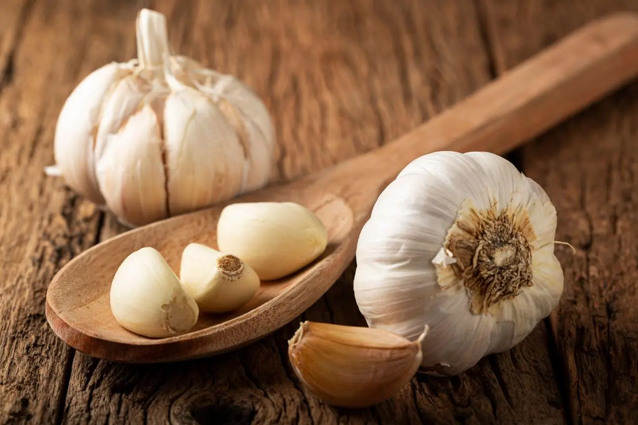 28-Year-Old Man with Kidney Inflammation Ate Garlic Every Day for 5 Months—Doctors Were Surprised by His Test Results