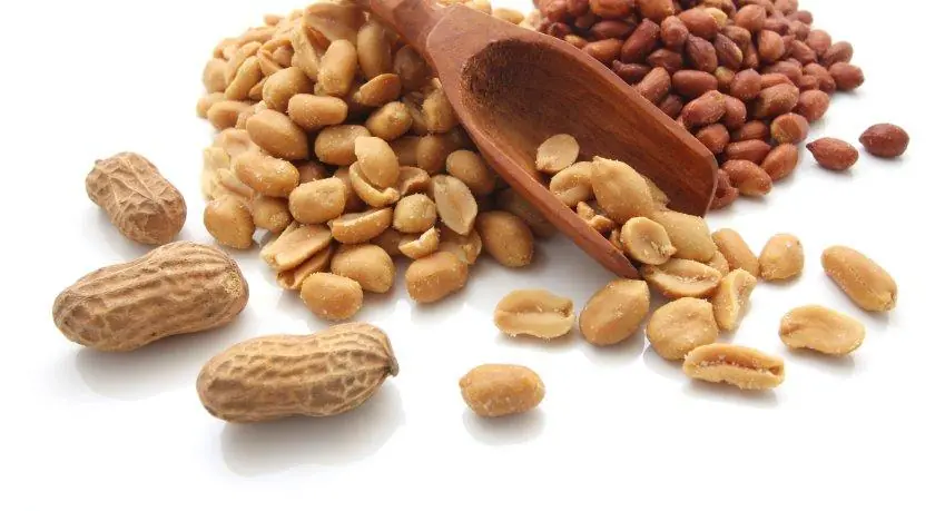What Doctors Really Say About Eating Peanuts