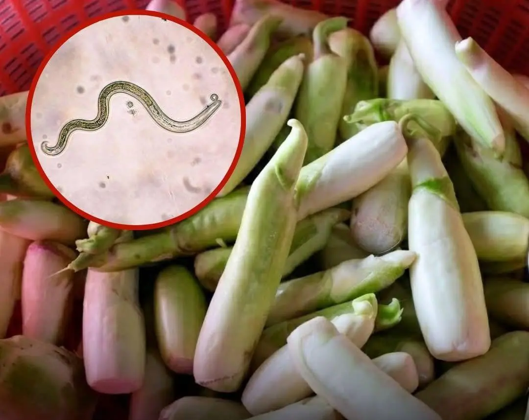 The Vegetable Most Likely To Carry Parasites Is Also One Many People Love Eating Raw